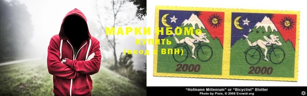 ПСИЛОЦИБИНОВЫЕ ГРИБЫ Алексеевка