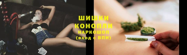 ПСИЛОЦИБИНОВЫЕ ГРИБЫ Алексеевка