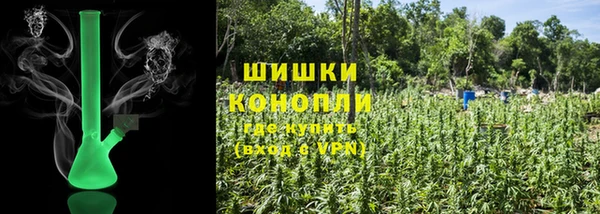 ПСИЛОЦИБИНОВЫЕ ГРИБЫ Алексеевка