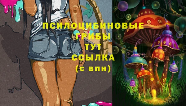 ПСИЛОЦИБИНОВЫЕ ГРИБЫ Алексеевка