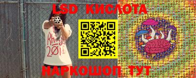 индика Краснознаменск