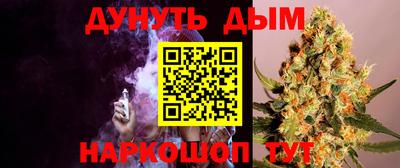 индика Краснознаменск