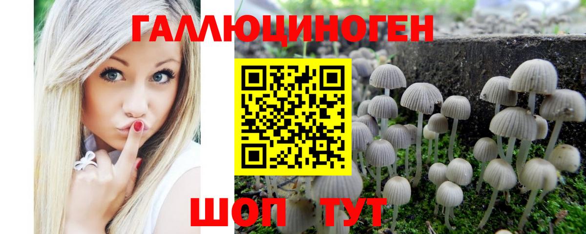 Красногорск  Галлюциногенные грибы прущие грибы  Вход с VPN  Галлюциногенные грибы Cubensis 