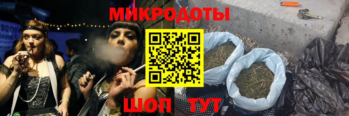 Галлюциногенные грибы Psilocybine cubensis Красногорск